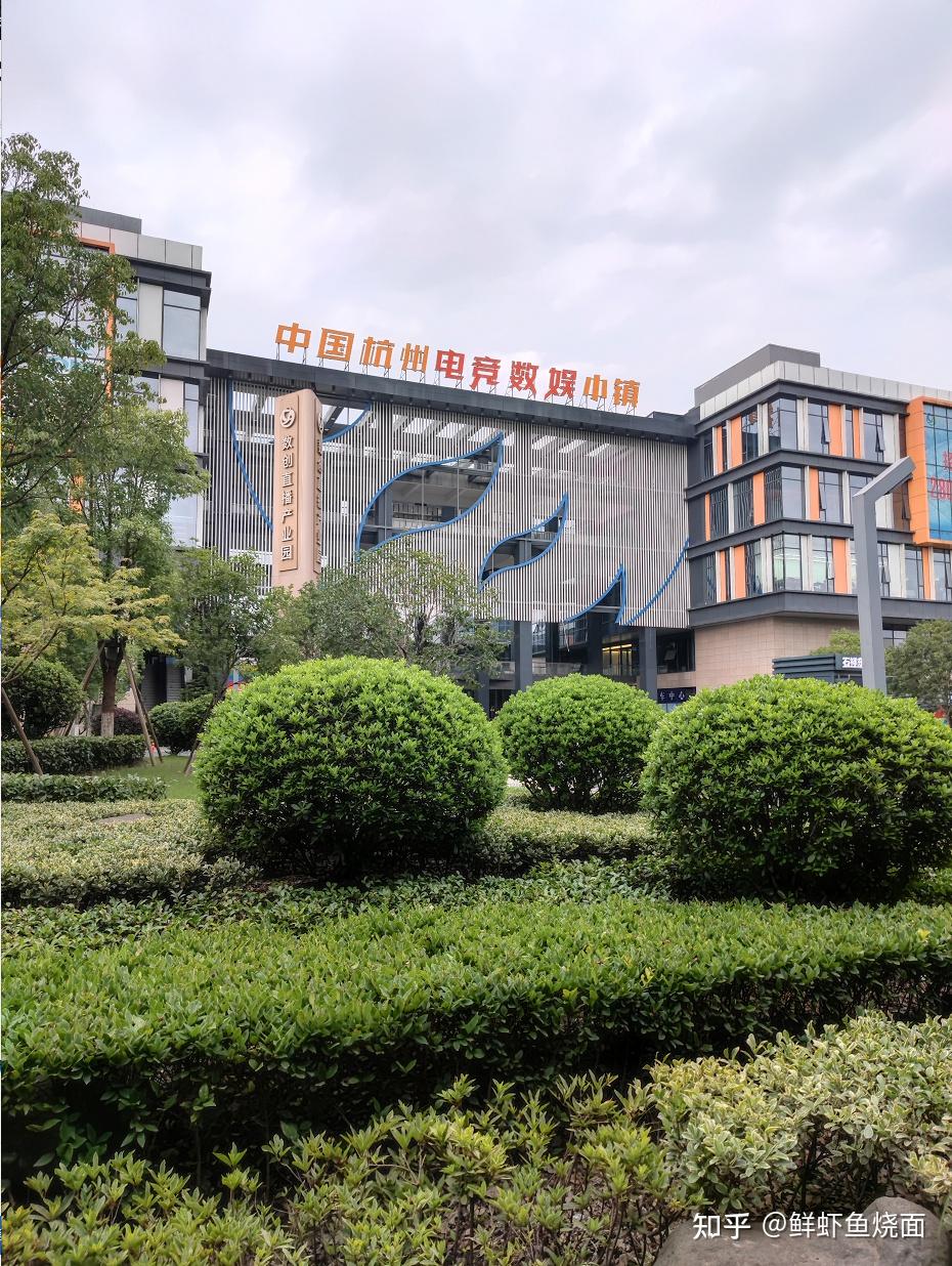 第一次去现场看lpl要注意些什么