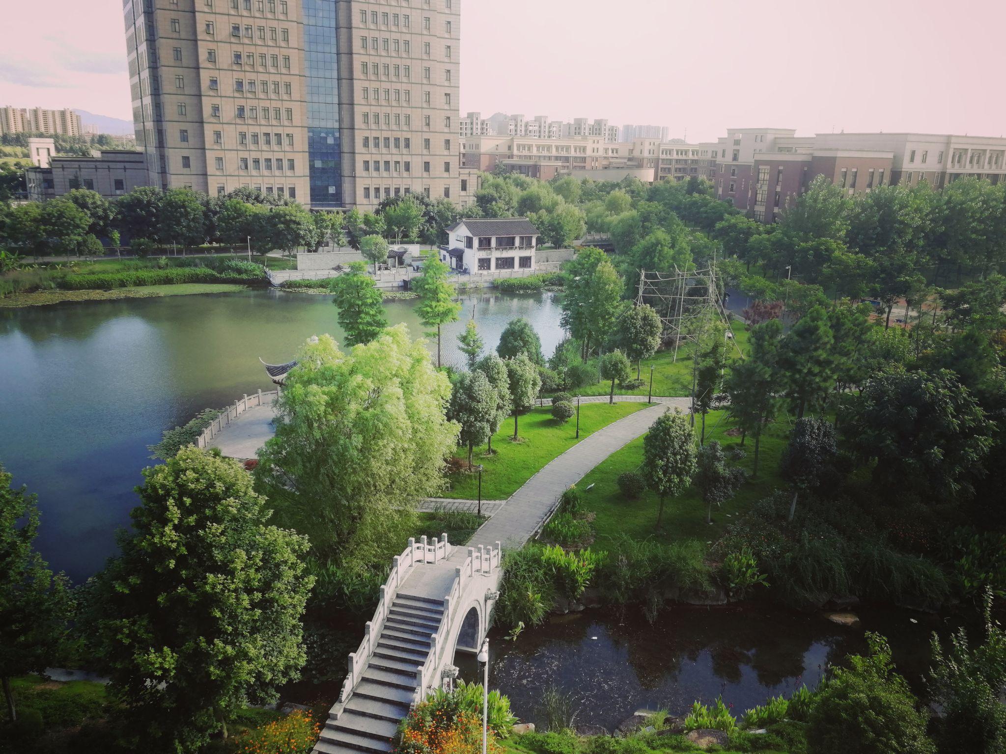 在浙江农林大学暨阳学院读书是什么体验? - 知乎