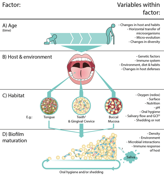 事实上,相比于肠道微生物,口腔微生物一直是生活在hard模式,因为太