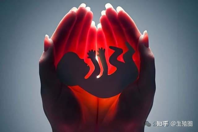 比免疫更关键!最新数据流产三分之二原因是它!保胎思路需大调整 - 知乎