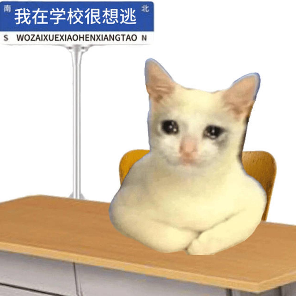 有什么适合大学生的表情包