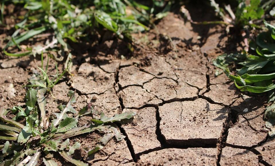 v2-805d086566fa7d7cb131f8ff4a99af5c_1440w.jpg?source=172ae18b