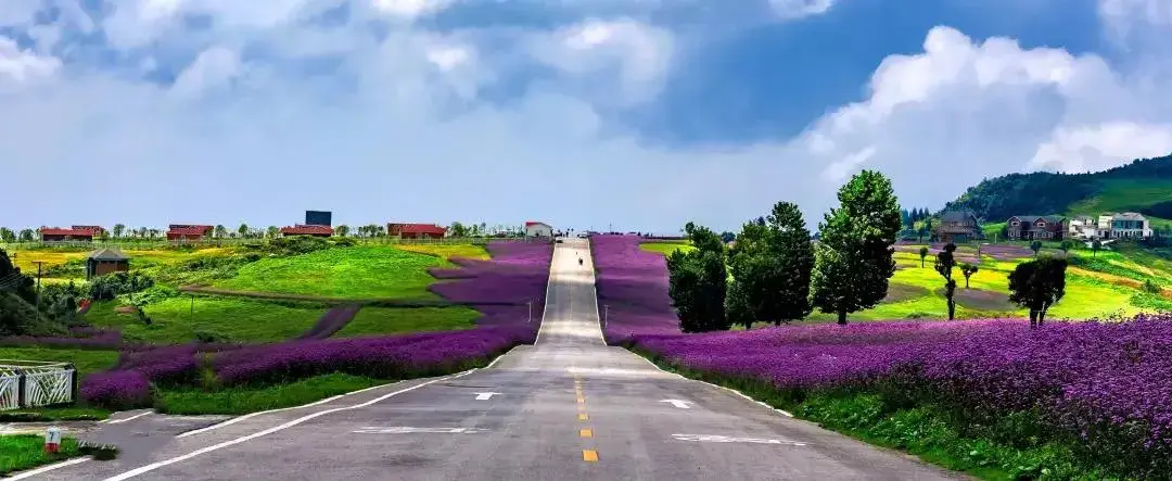 贵州2条线路入选"岁时节令 自在乡村"全国乡村旅游精品线路