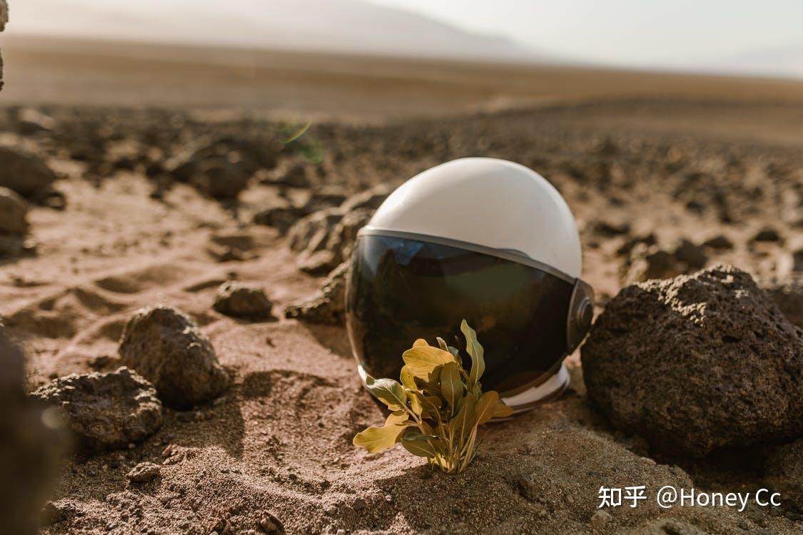 埃隆马斯克警惕人们现在还没有意识到事情的严重性