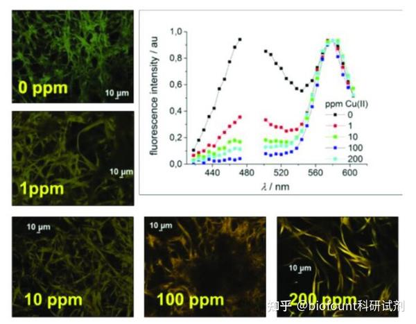 3种常用的铜离子荧光探针 知乎