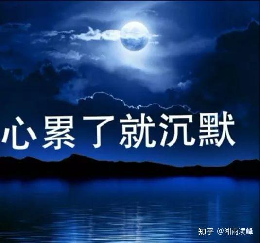 见与不见也不用说再见遇见谁都没有再见在人间,我就是累了回首往事,看