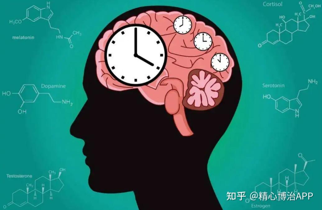 晚睡晚起但睡满8小时，算不算熬夜？ - 知乎