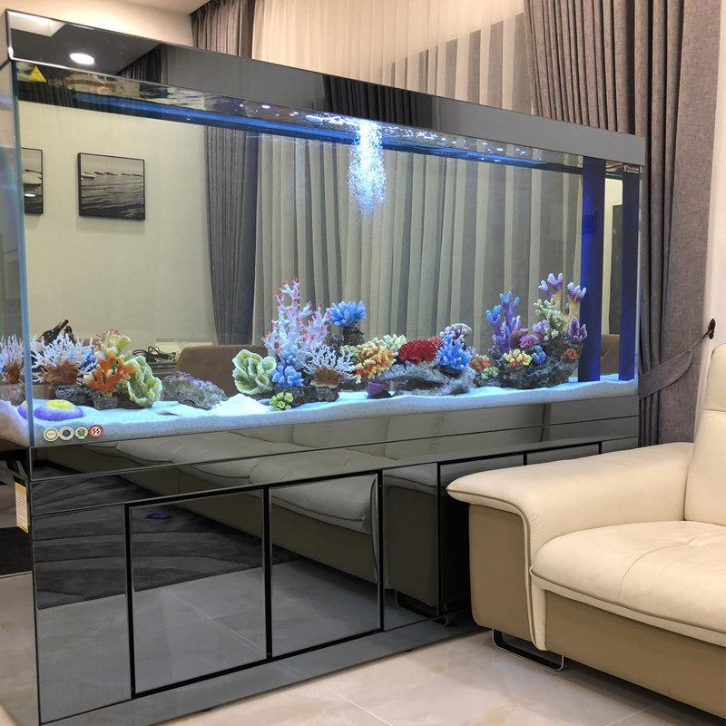 鱼缸进阶攻略常见维生鱼缸