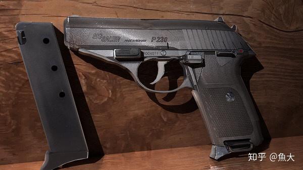 日本警察版) 是我偏题了……这不是什么全球知名的枪…至少跟上面的