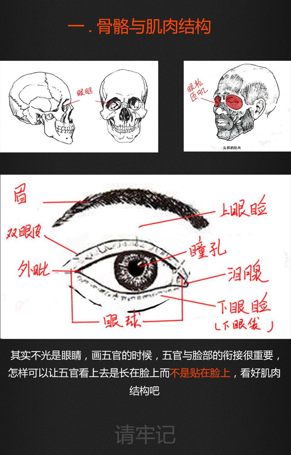 插画丨原画丨绘画丨浓眉大眼图文教程