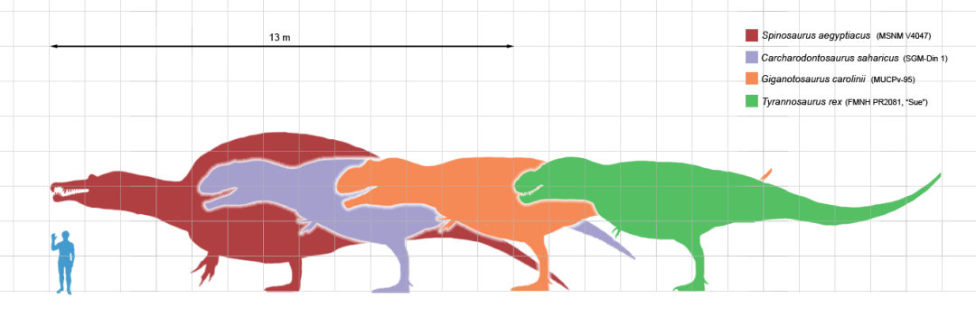 卡玛卡玛组恐龙图片