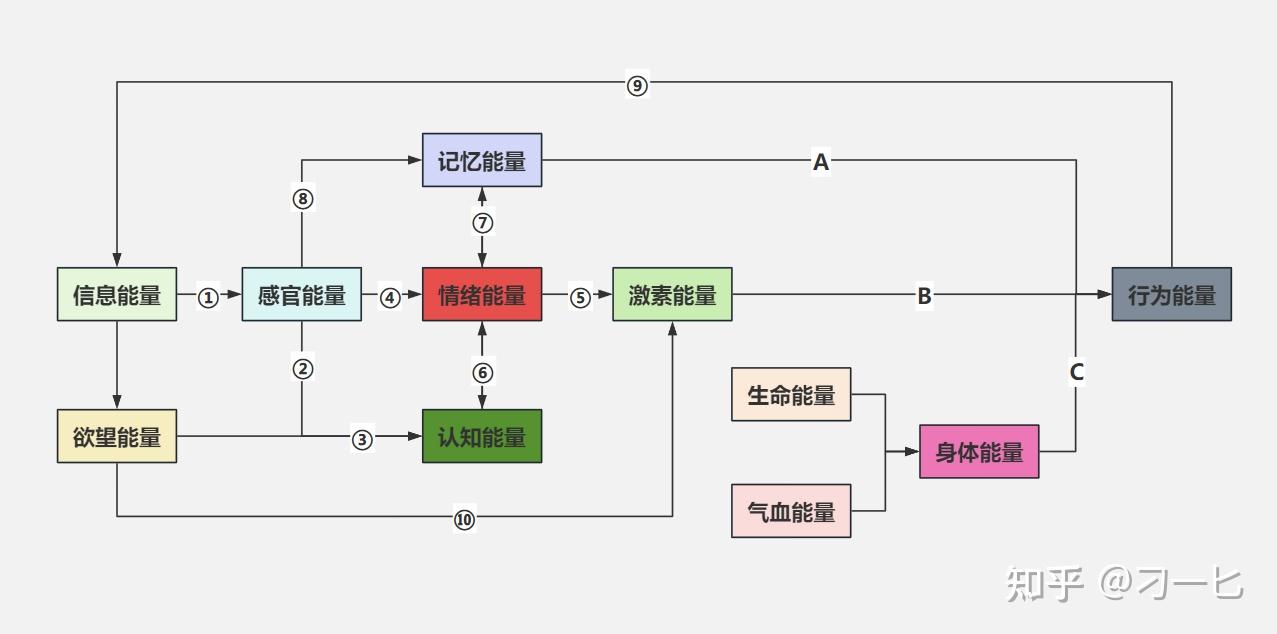 人体能量转化图图片