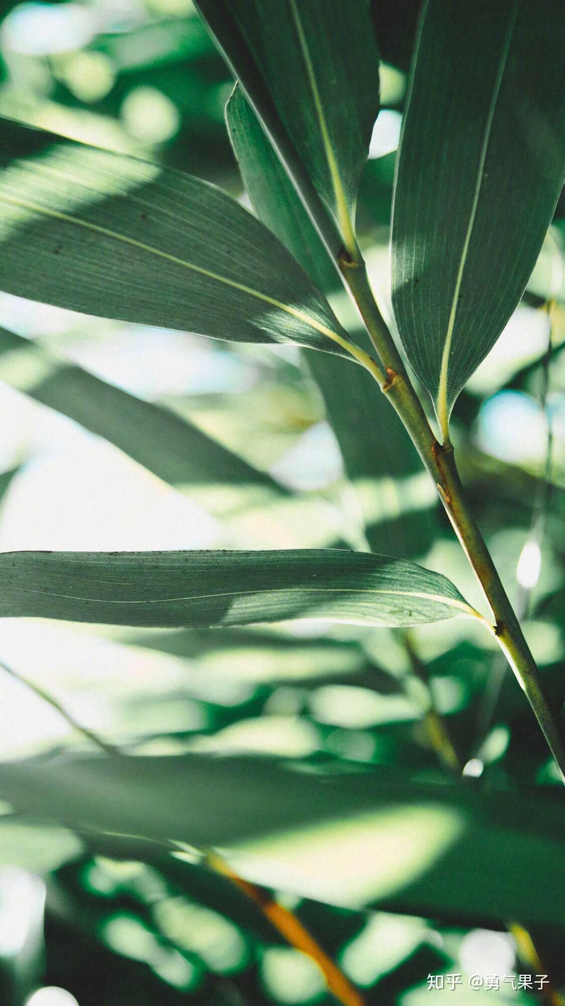 你有哪些珍藏多年的好看的壁纸