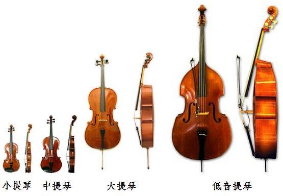 小提琴显脸大中提琴显脸小一文教你分辨提琴家族