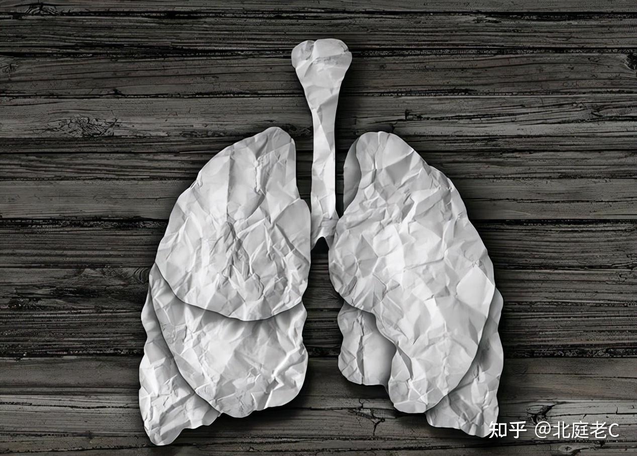 健康人和吸烟者的肺。吸烟的危险。插画图片素材_ID:122880187-Veer图库