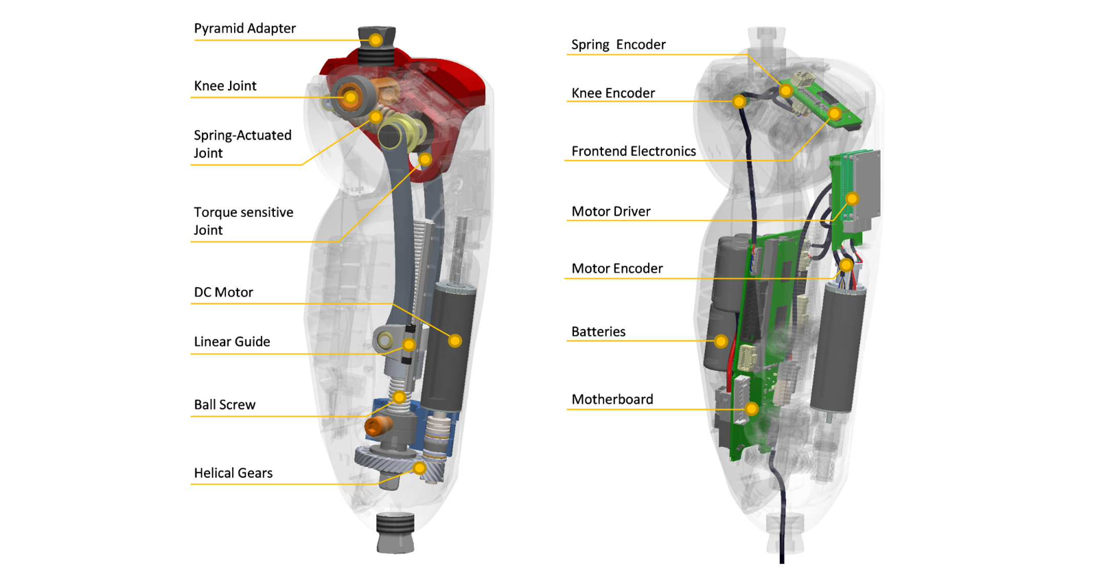 一次充电,15460步!新型仿生腿让截肢者轻松行走,轻巧,有力,还能自发电