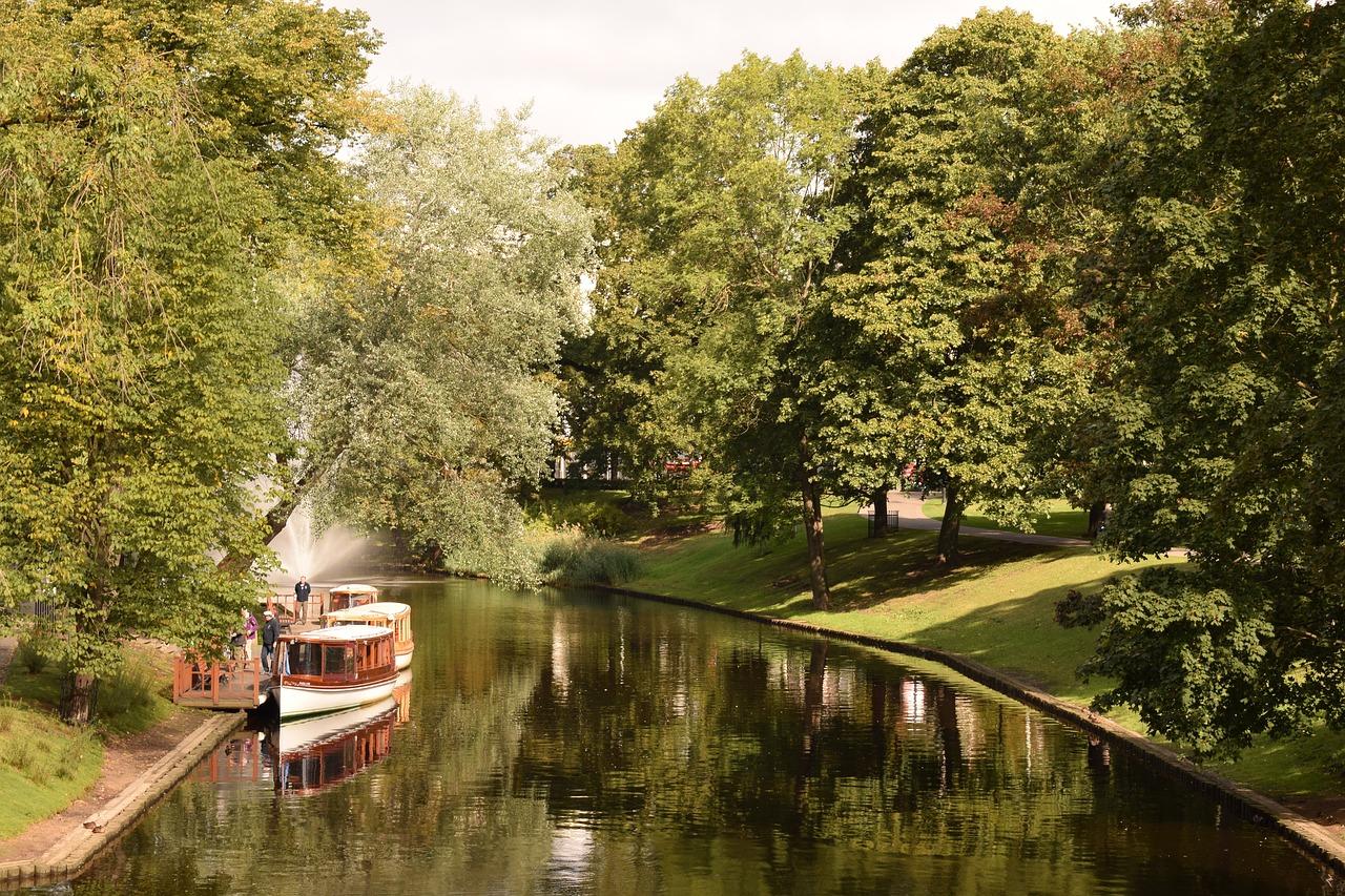 湖滨运河小学在哪里