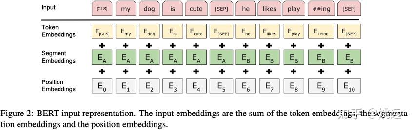 大模型技术之 BERT（Bidirectional Encoder Representation from Transformers）预训练 ...