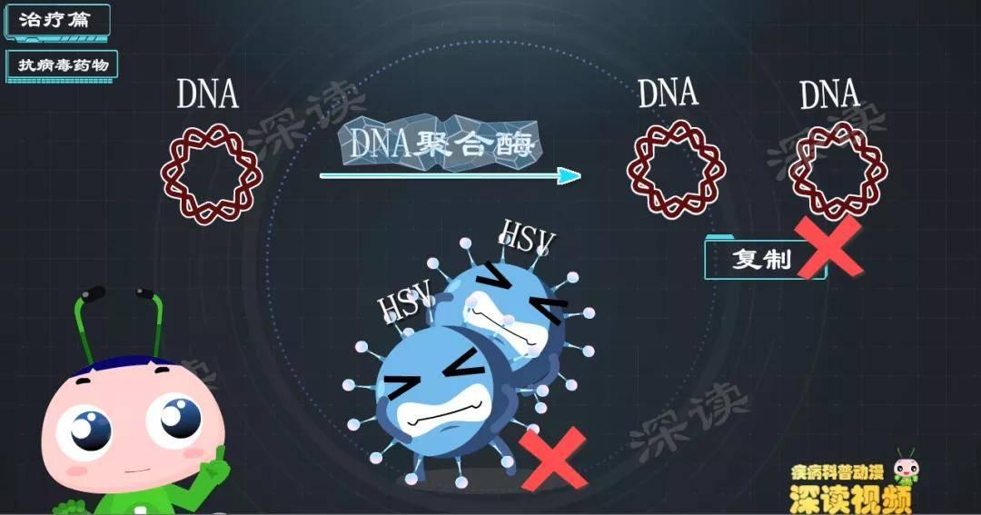 生殖器疱疹要吃抗病毒药？越早用药效果越好？保姆级治疗指南 知乎