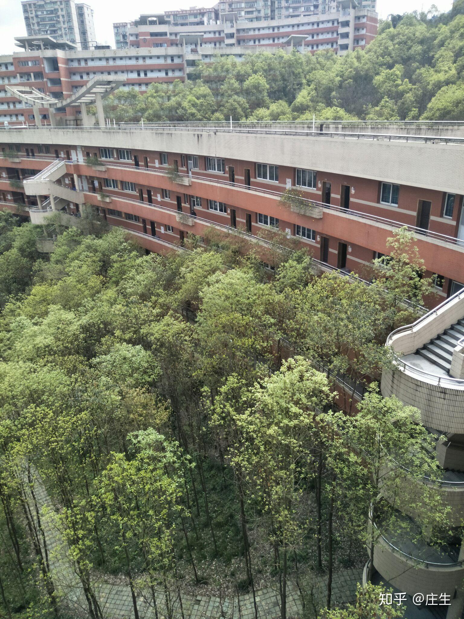 就读于涪陵五中是一种什么样的体验?