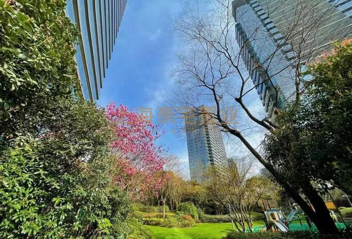 南外滩顶豪绿城黄浦湾二期一线滨江景观房建面268平售价6000万 - 知乎