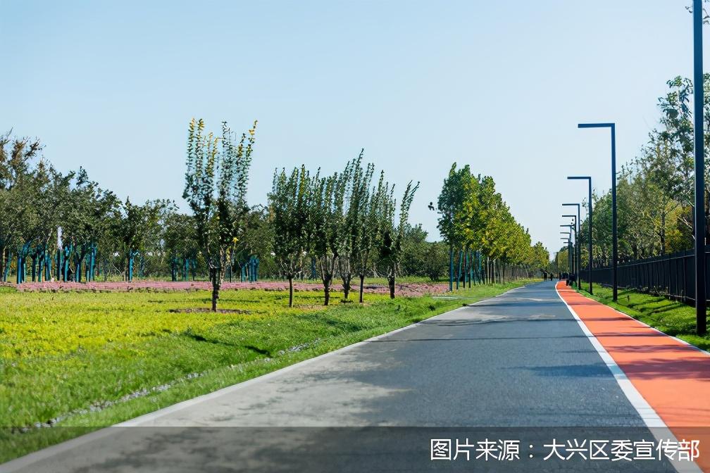 游讯再添健身打卡地大兴西红门千余亩市场变身生态公园