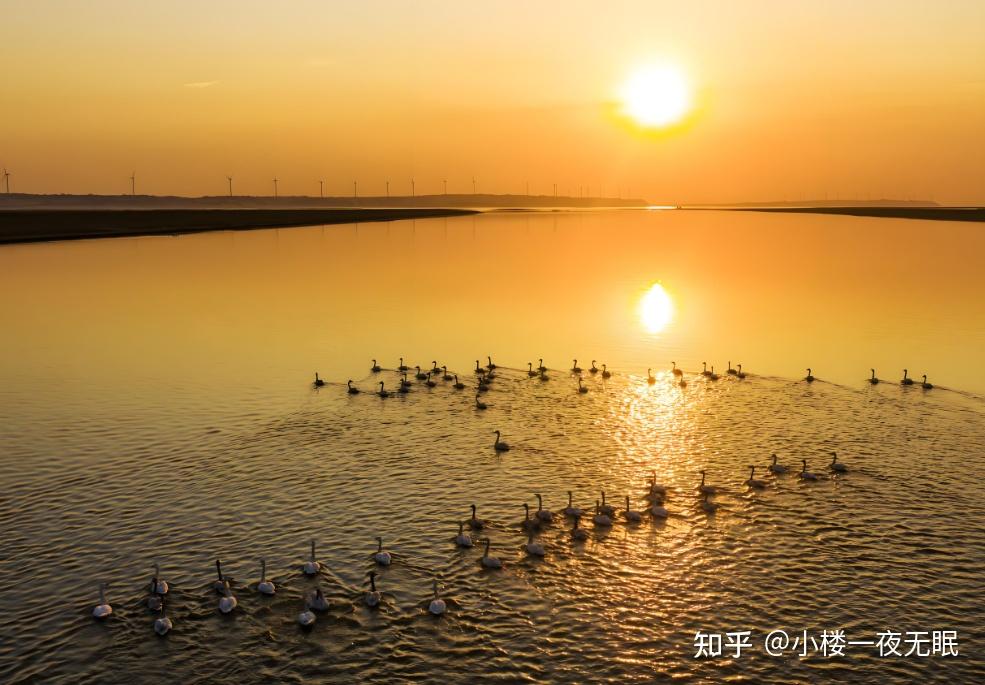 鄱阳湖旅游攻略:江南水韵与候鸟天堂的完美邂逅 - 知乎