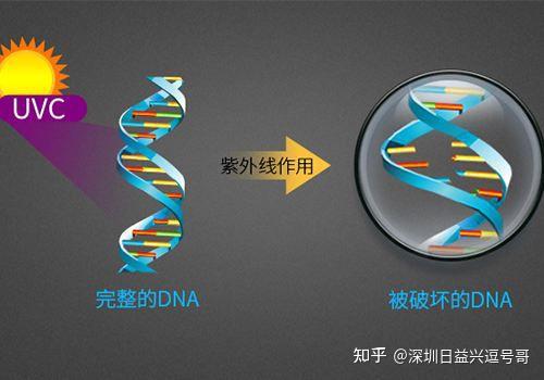 华为问界M9黑科技的完全体,光触媒灭菌系统首次亮相! - 知乎