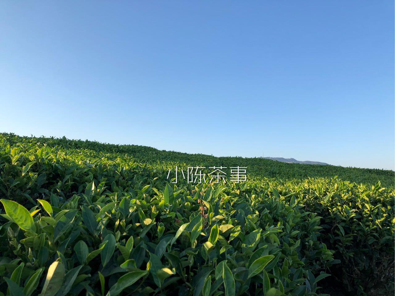 v2-80f7fa842fdb4d02be8d965bfac8dd32_1440w.jpg?source=172ae18b