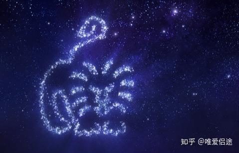 12星座中最配的一对星座是哪一对 知乎