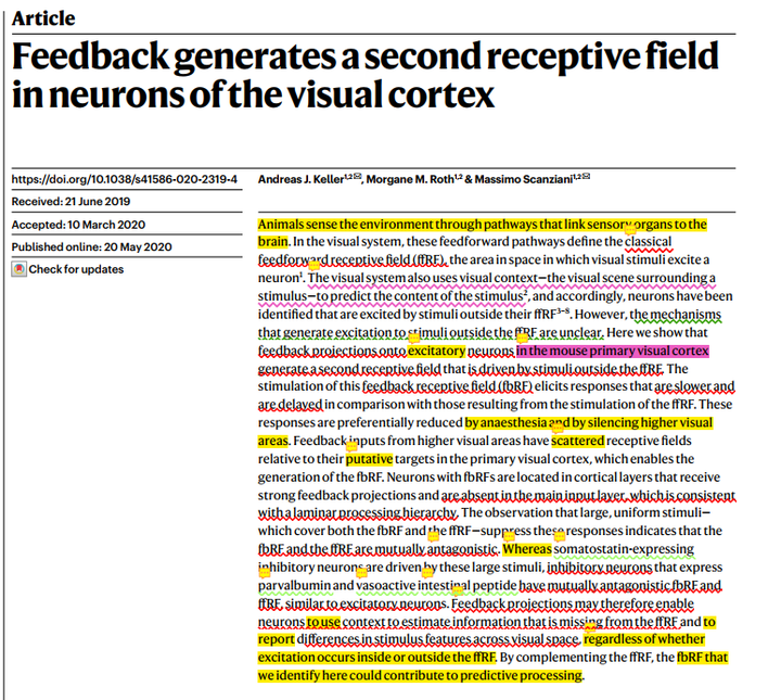 Feedback generates a second receptive field in neurons of the visual ...