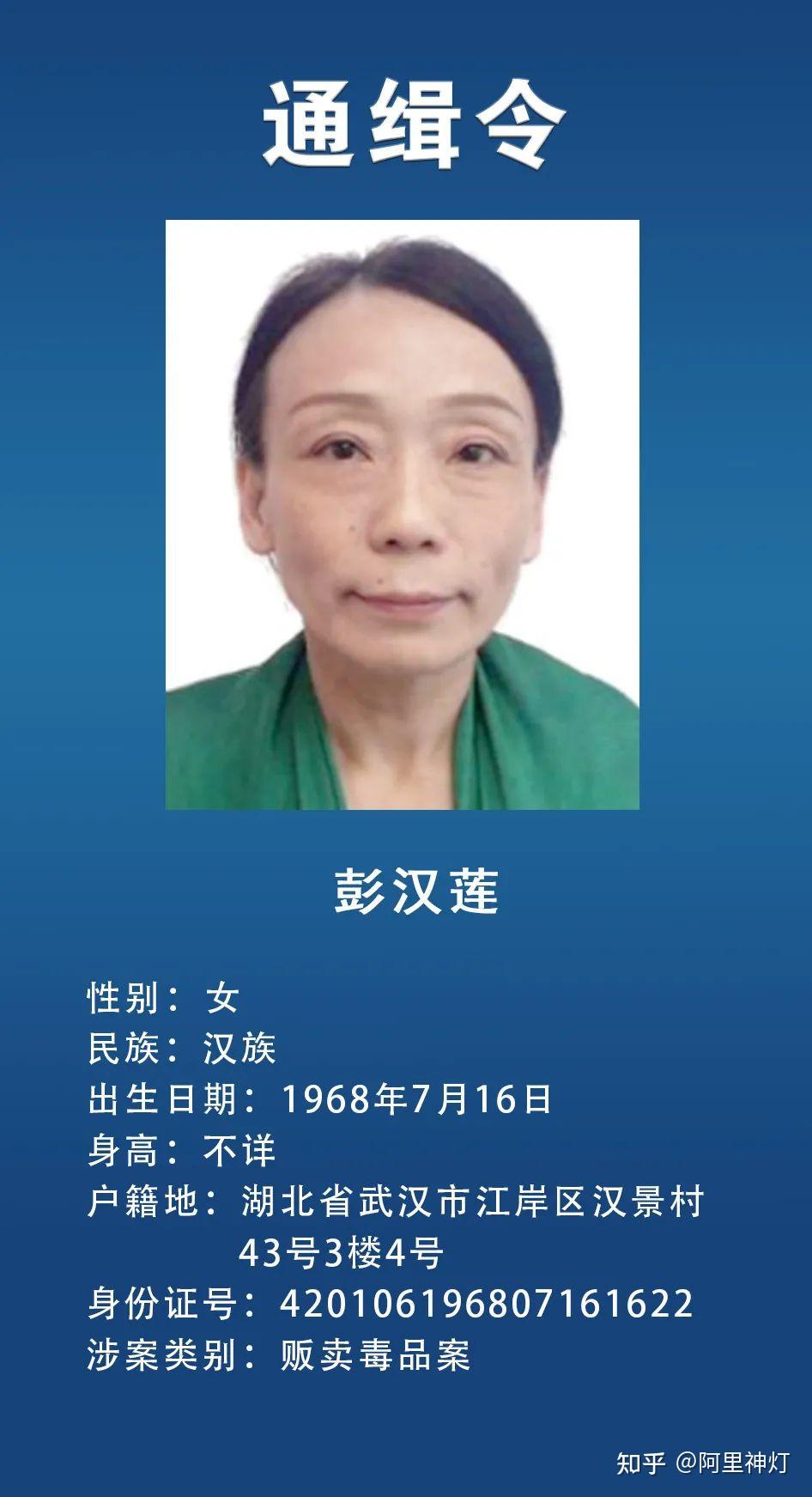 94年美女通缉犯刘格格,落网
