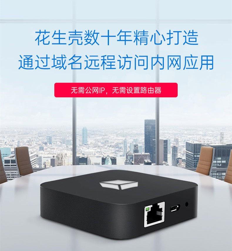 替代专线/公网IP,异地访问内网服务远程办公插图4 替代专线/公网IP,异地访问内网服务远程办公插图4