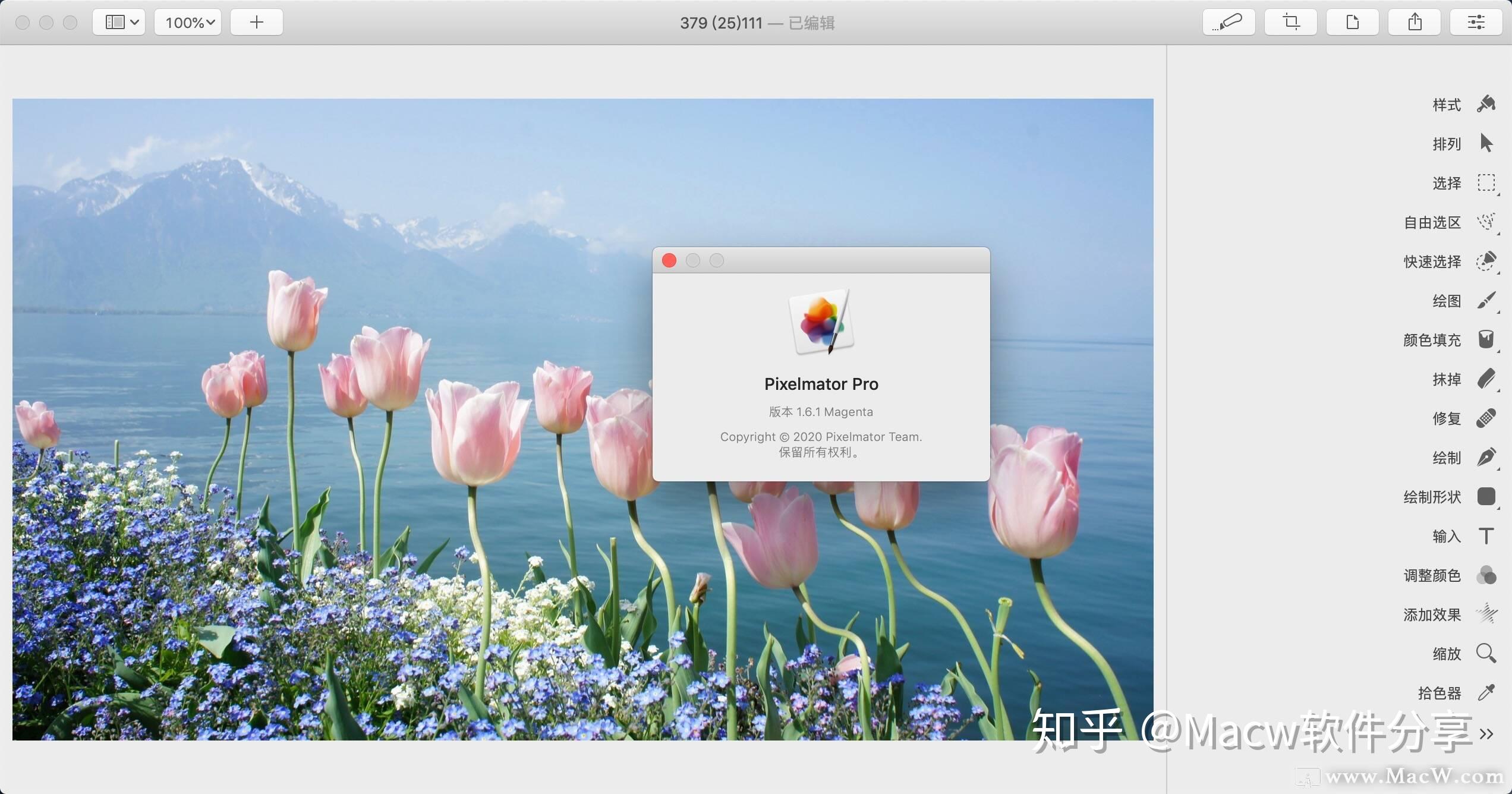 pixelmatorproformac比肩ps的mac修圖軟件v161中文激活版