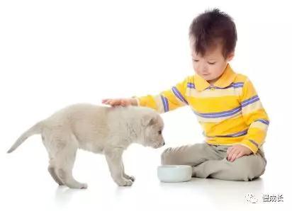 这样教孩子认识动物 生物 体育 艺术 文学都有了 一周早教方案上篇 知乎