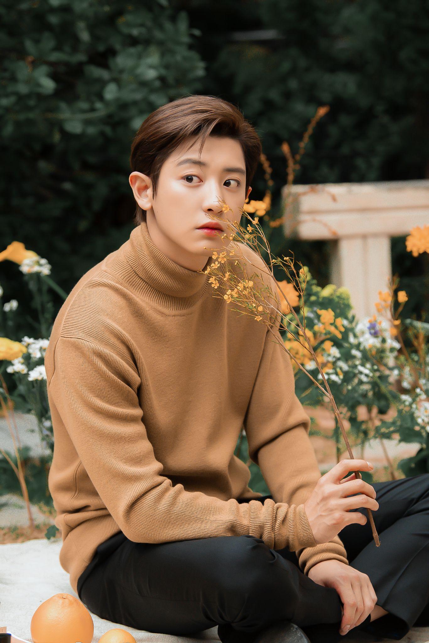 朴灿烈有哪些超级好看的照片毫不掩饰我就是想收图