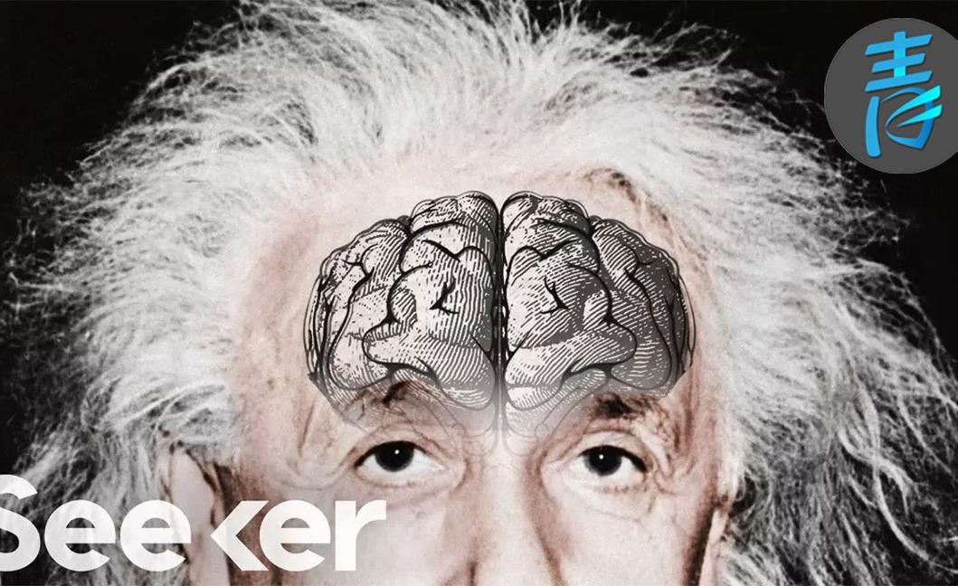 爱因斯坦的大脑,切成240块研究50年,到底发现了什么?
