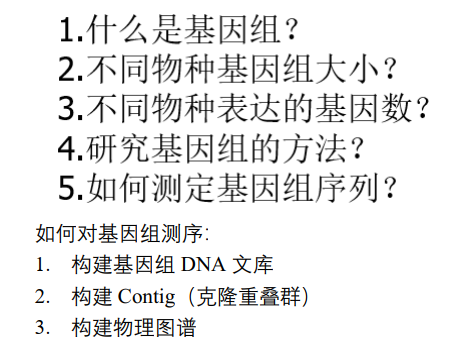 分子生物学整理|基因和DNA笔记(三)基因组 - 知乎