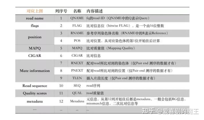 生物信息学入门——BAM文件的格式 - 知乎