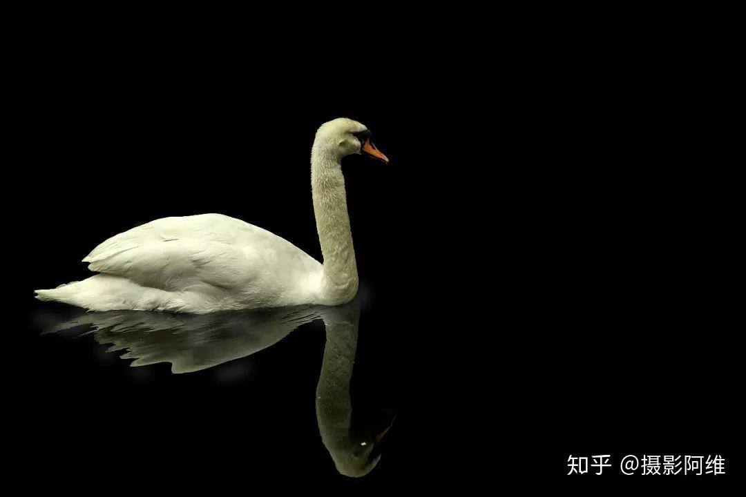 v2-8169c55f77d304f087f4cbc6d3a6093c_r.jpg