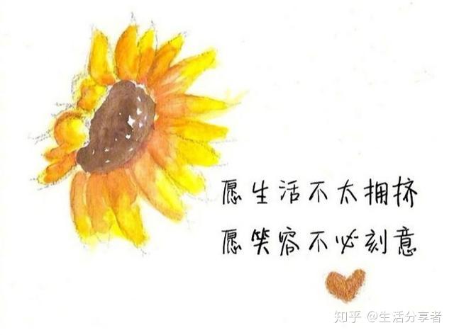 v2-817a9fe1f8922e5e9c4b9ff0248128f8_r.jpg