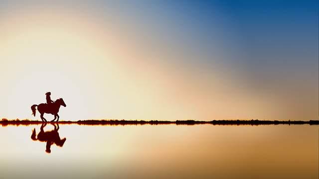 v2-817ea3514012a4f8f3cc6a5826493870_r.jpg