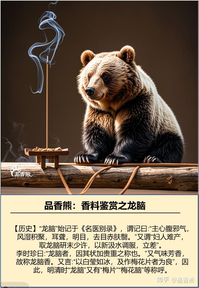 品香熊:传统基础香料鉴赏之龙脑 龙脑,又名婆律香、婆律膏、龙脑油 - 知乎