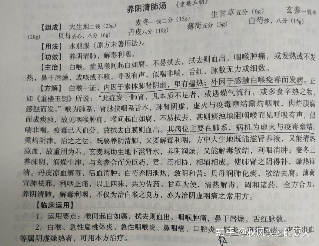 养阴清肺汤组成图片