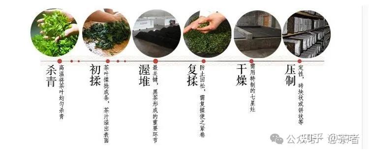 安化黑茶入门指南：如何挑选优质黑茶 - 知乎