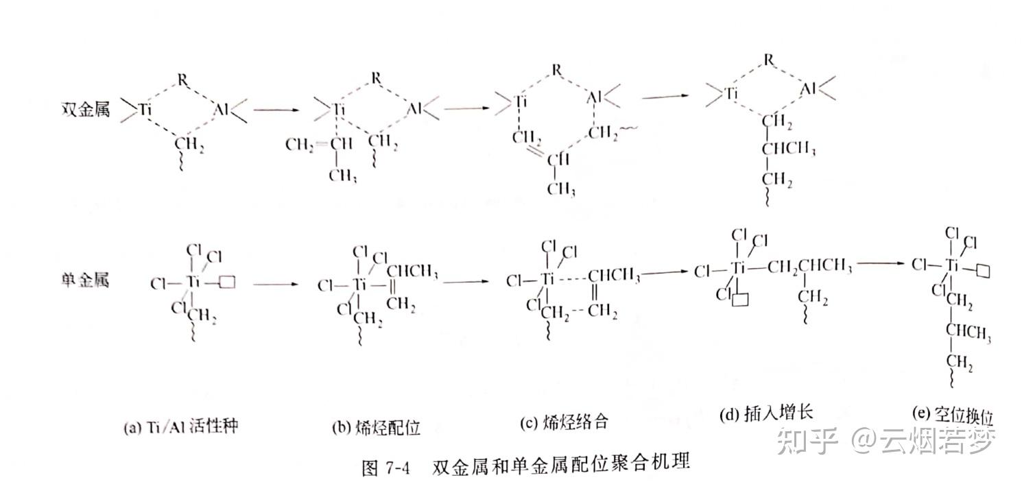 7.4丙烯的配位聚合