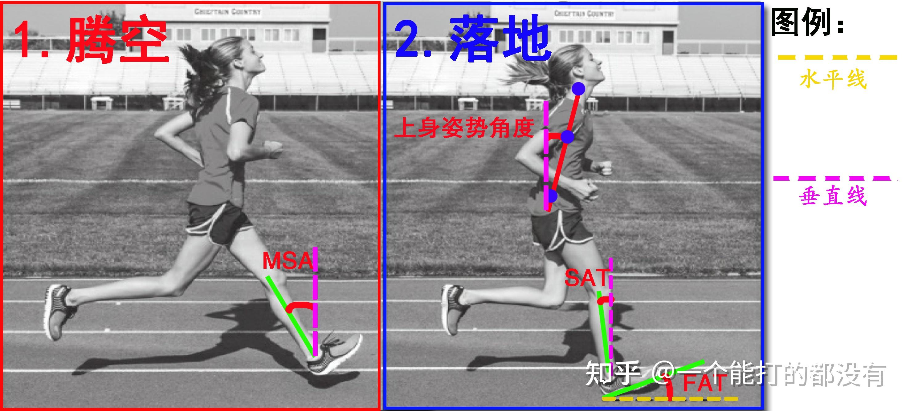 跑步的时候应该前脚掌先着地还是后脚跟先着地正确的跑步姿势是什么样