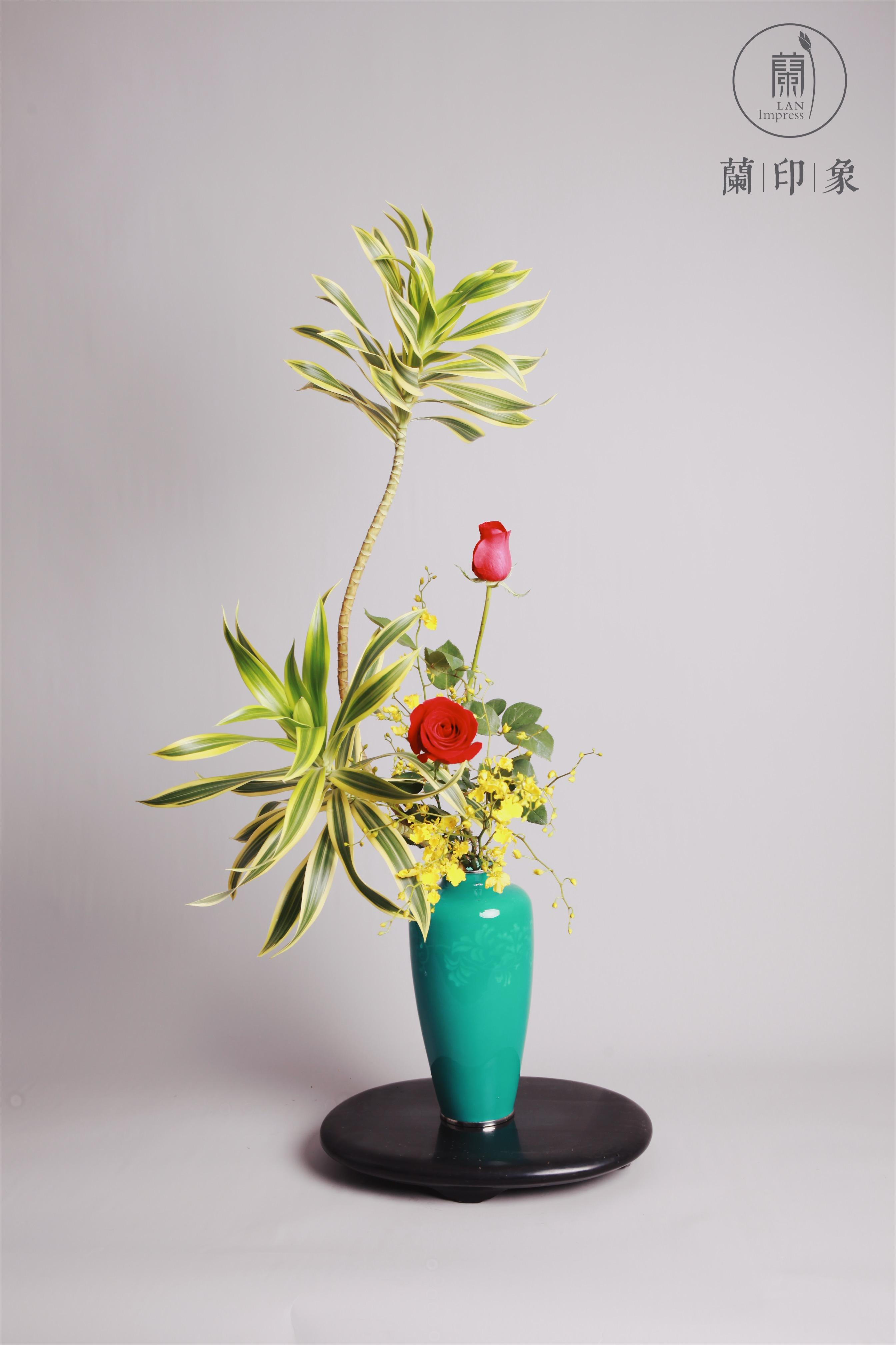 花植知识贴跳舞兰西安插花小原流花道豆瓣同城