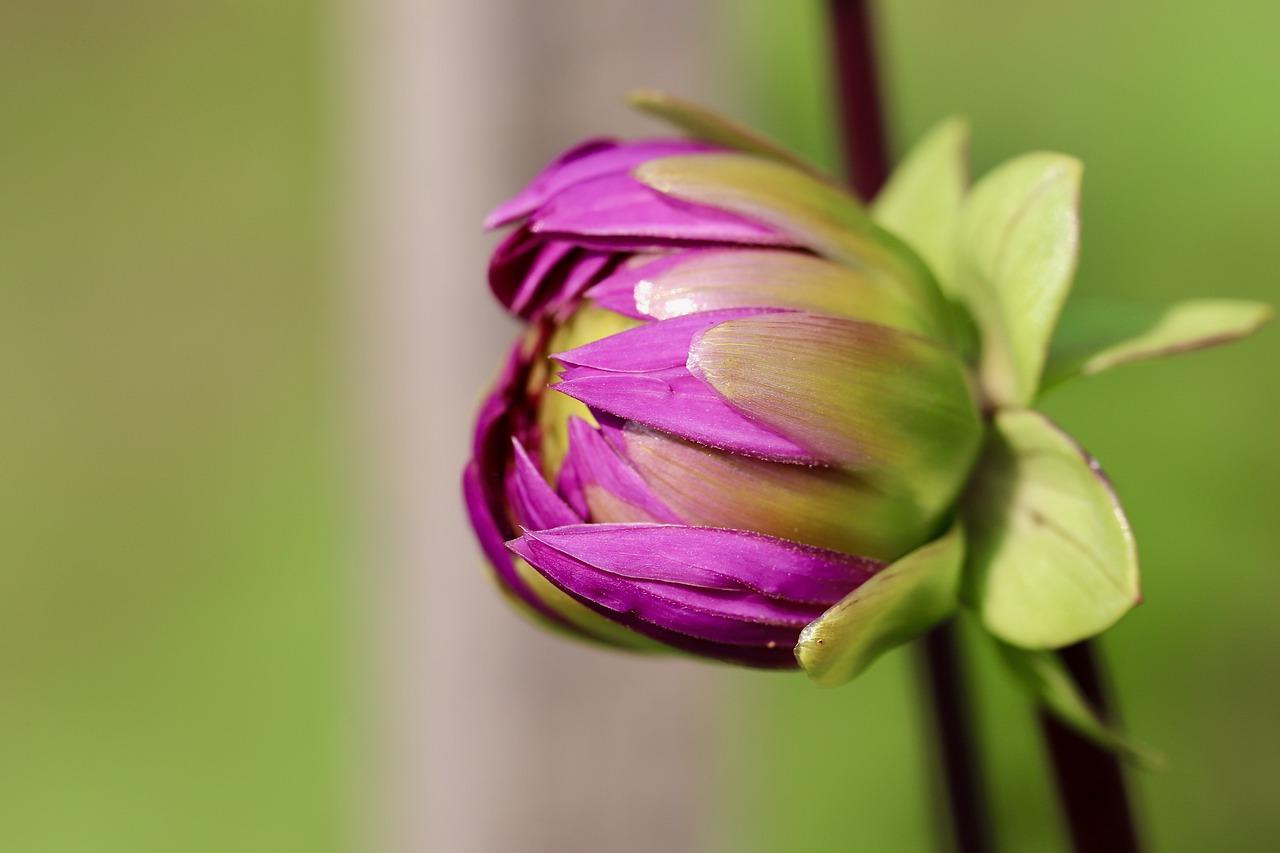 户型南北通透对比
