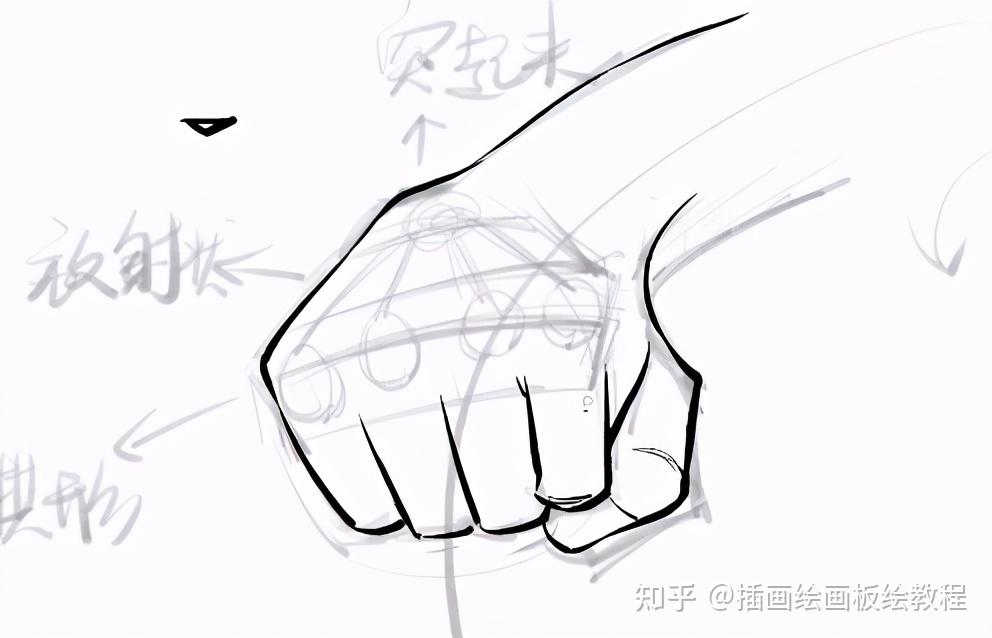 绘画教程动漫人物握拳的手怎么画超实用动漫握拳姿势画法一看就会
